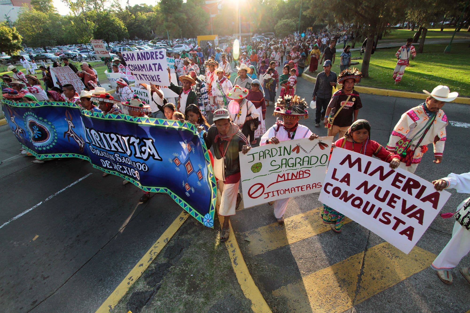 Wirikuta en Ciudad Universitaria, Ciudad de México. Fotografía: Prometeo Lucero, octubre de 2011.