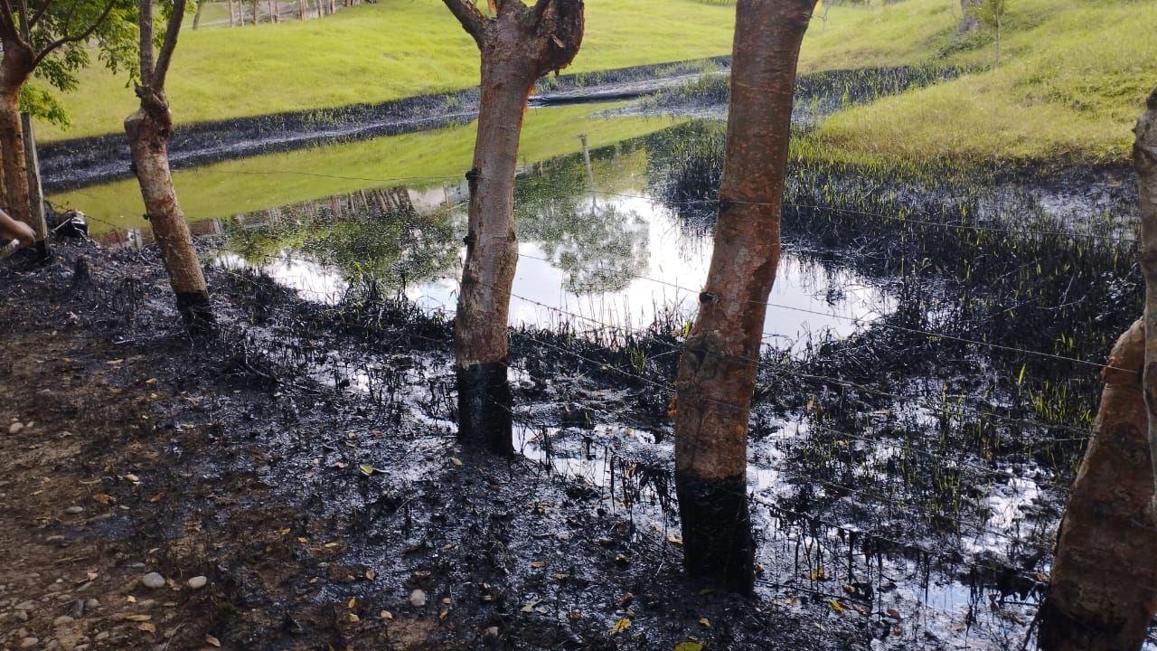 Derrames de petróleo Pemex Ojital Viejo 2.jpeg