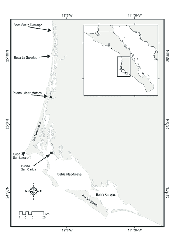 Figura-1-Complejo-lagunar-bahia-Magdalena-bahia-Almejas-y-sus-principales-rasgos-1.png