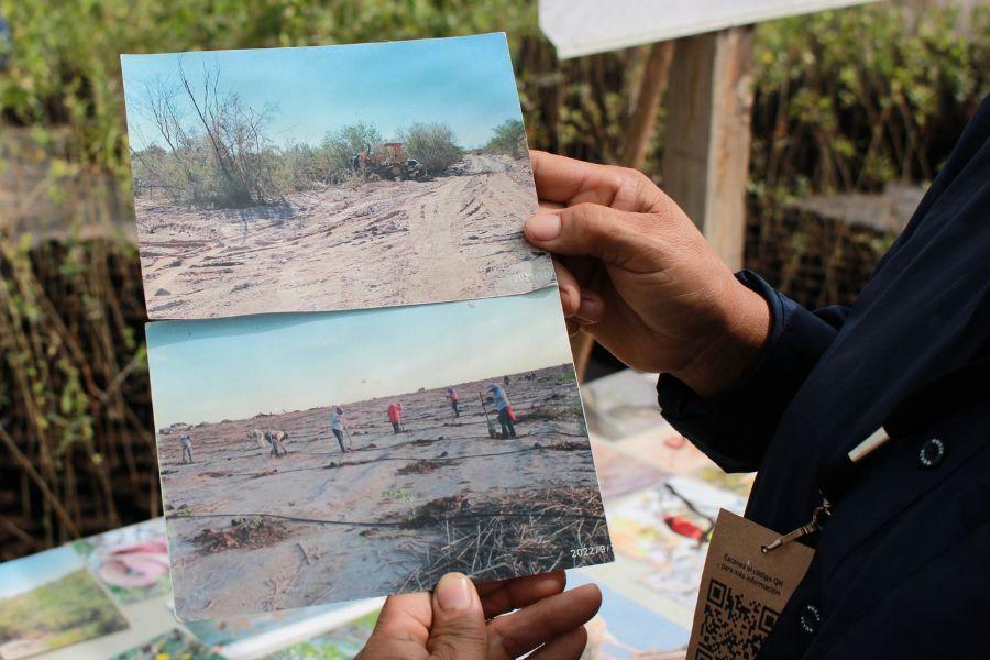 Interiors 900x600-2.jpg