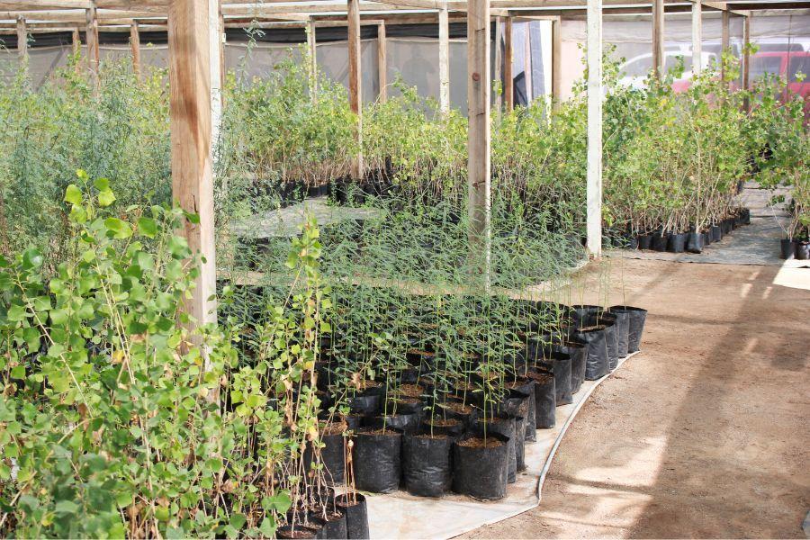 Interiors 900x600-3.jpg