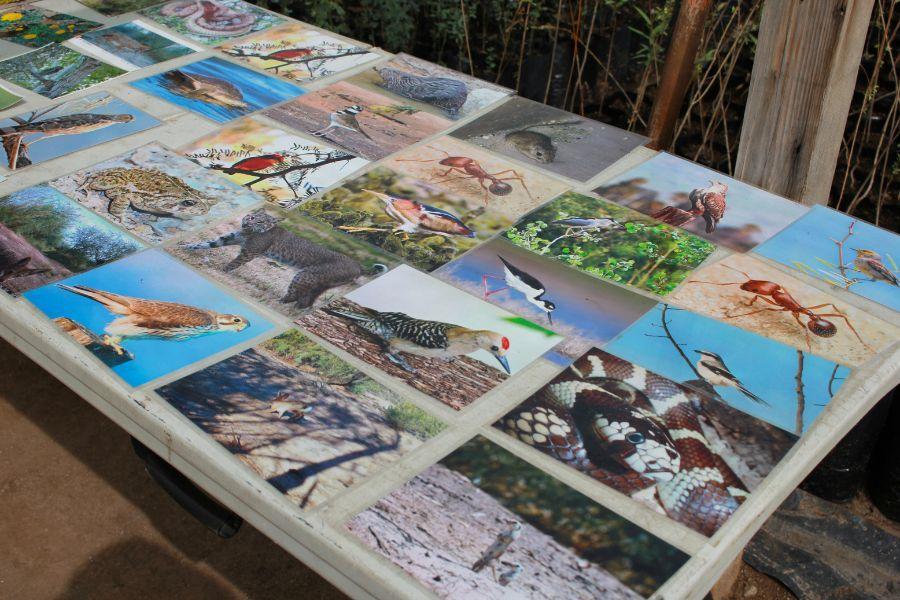 Interiors 900x600-4.jpg