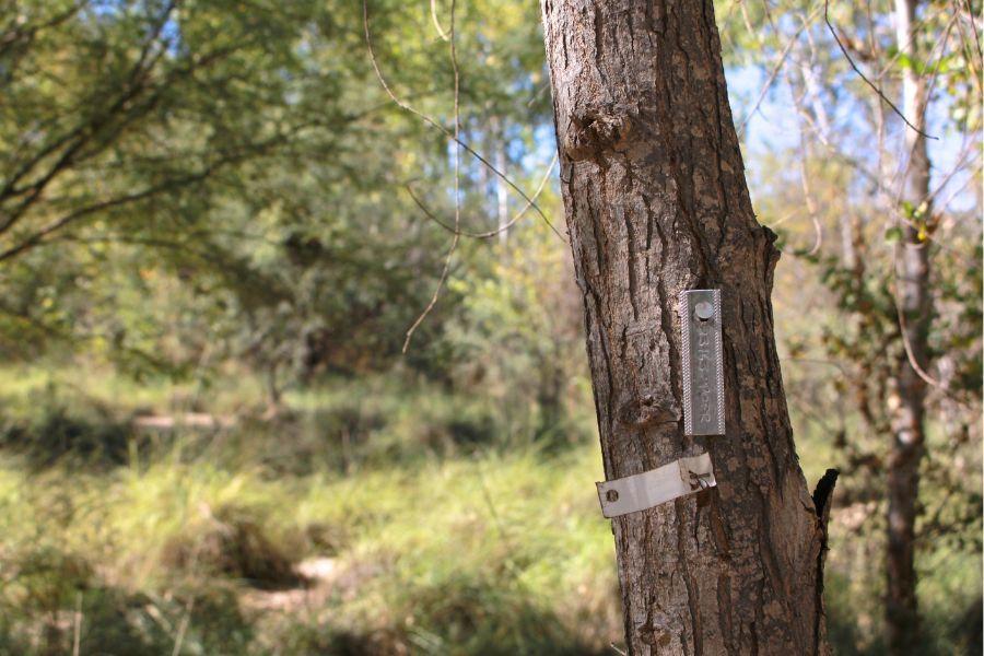 Interiors 900x600-5.jpg