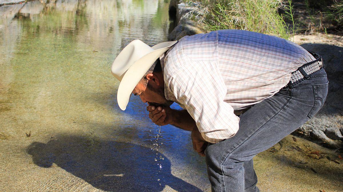 Porfirio drinking water from the El Guayabo Pool in the Sierra La Laguna Biosphere Reserve. Daniela Reyes Font
