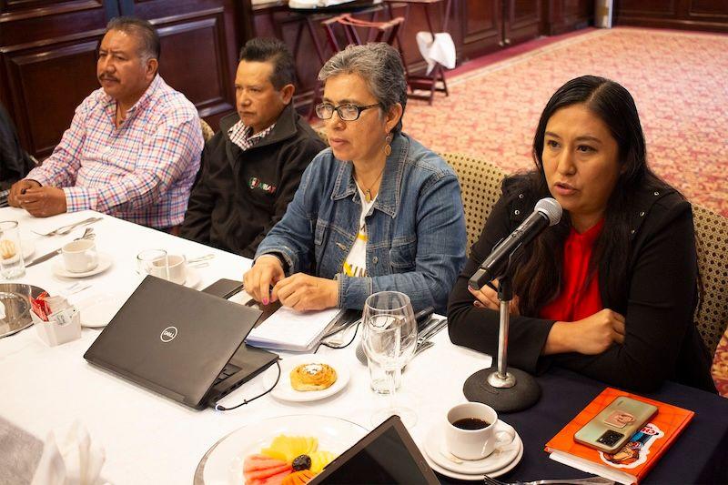 Prohibición de la minería a cielo abierto.jpg