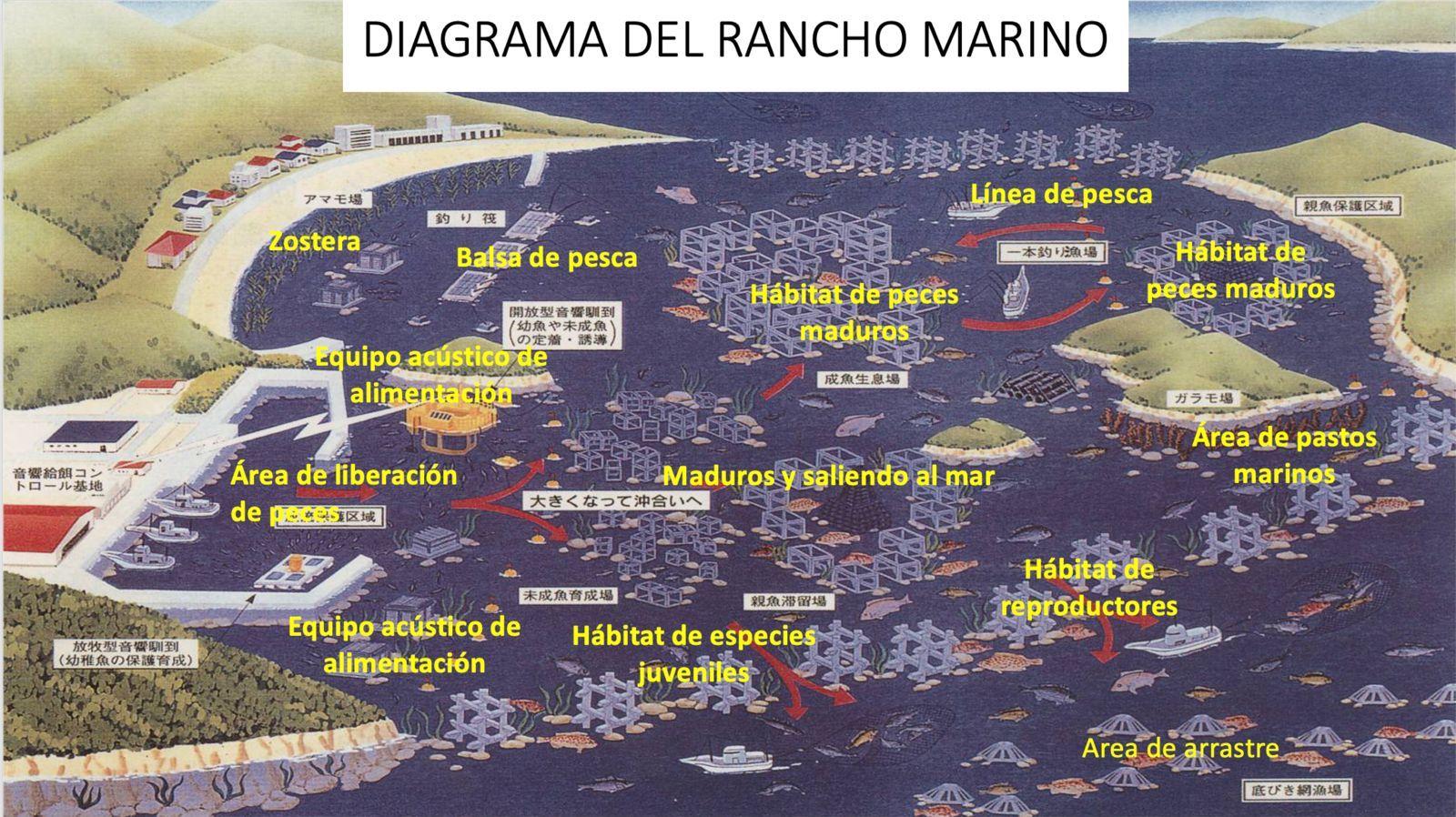 WhatsApp Image 2024-12-10 at 5.17.48 PM.jpeg