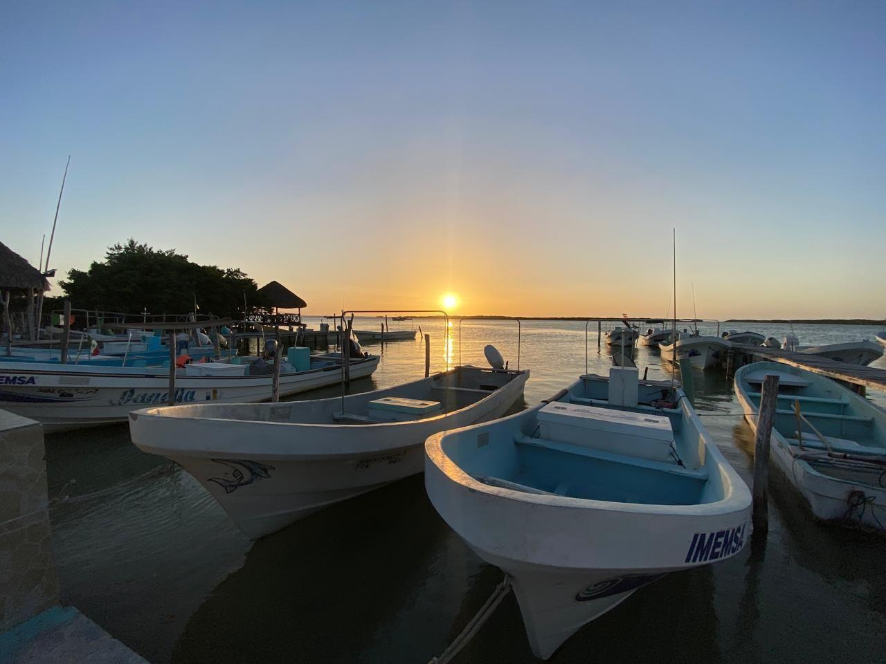 WhatsApp Image 2025-04-11 at 10.09.50 AM.jpeg