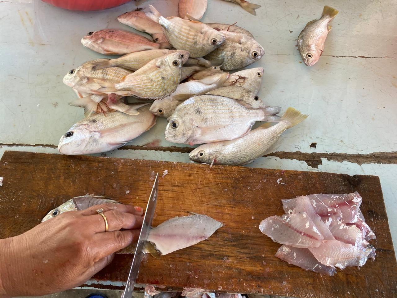 WhatsApp Image 2025-04-16 at 12.32.02 PM.jpeg