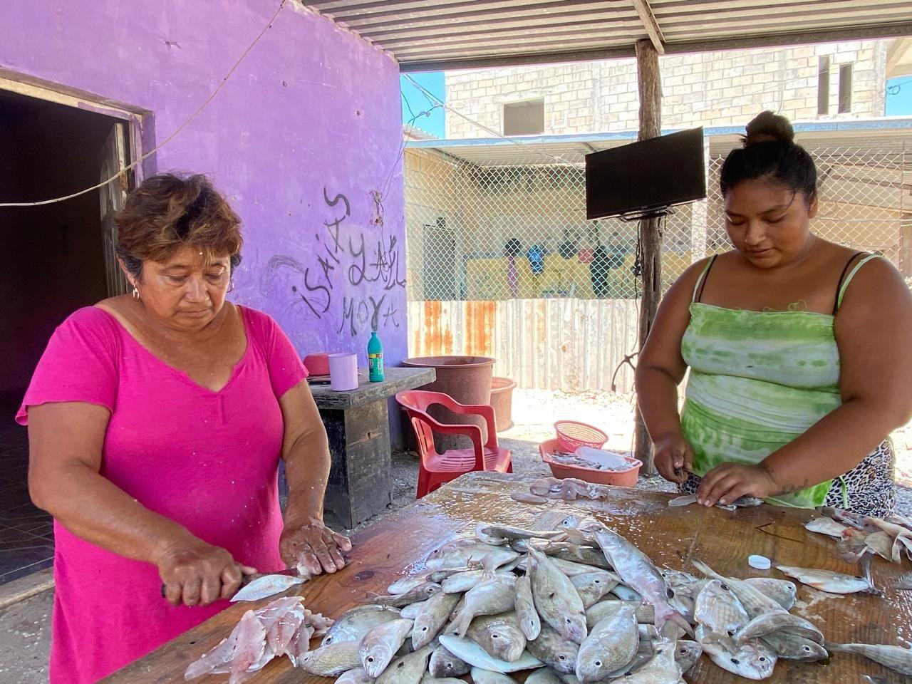 WhatsApp Image 2025-04-16 at 12.32.11 PM.jpeg