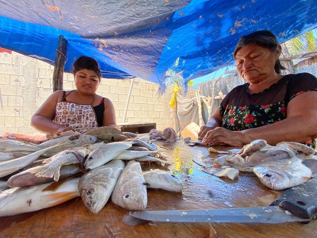 WhatsApp Image 2025-04-16 at 12.32.13 PM.jpeg