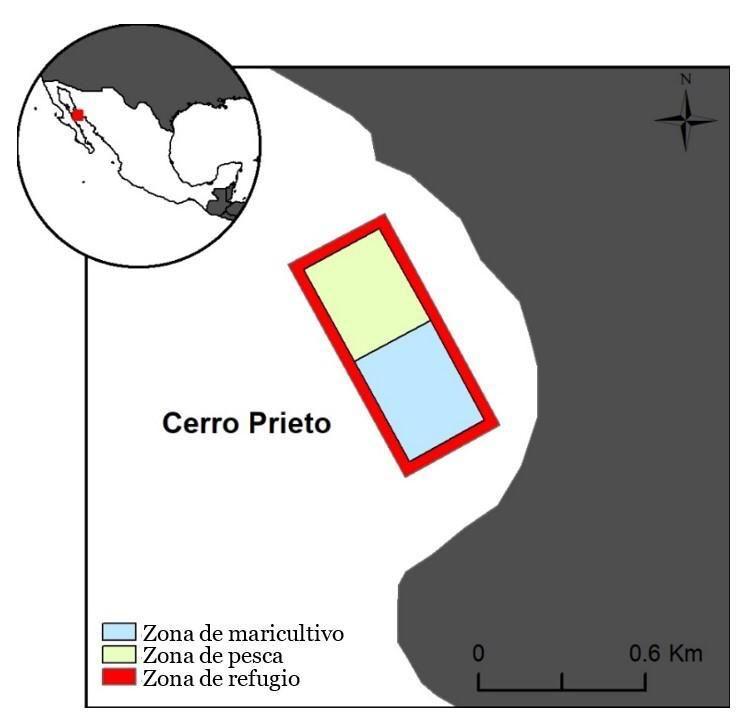 WhatsApp Image 2025-06-06 at 3.57.05 PM.jpeg