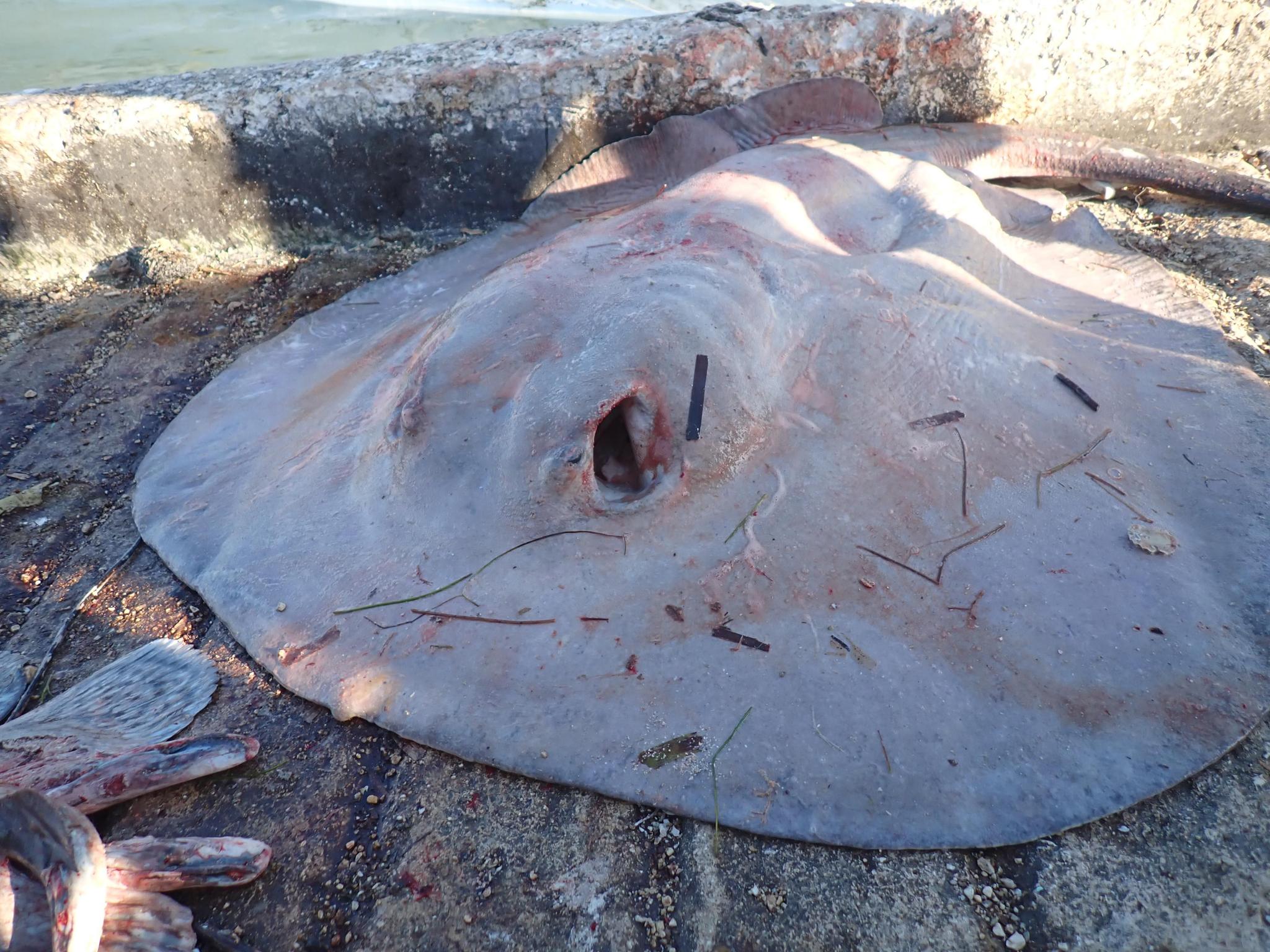 WhatsApp Image 2025-07-23 at 4.12.33 PM.jpeg