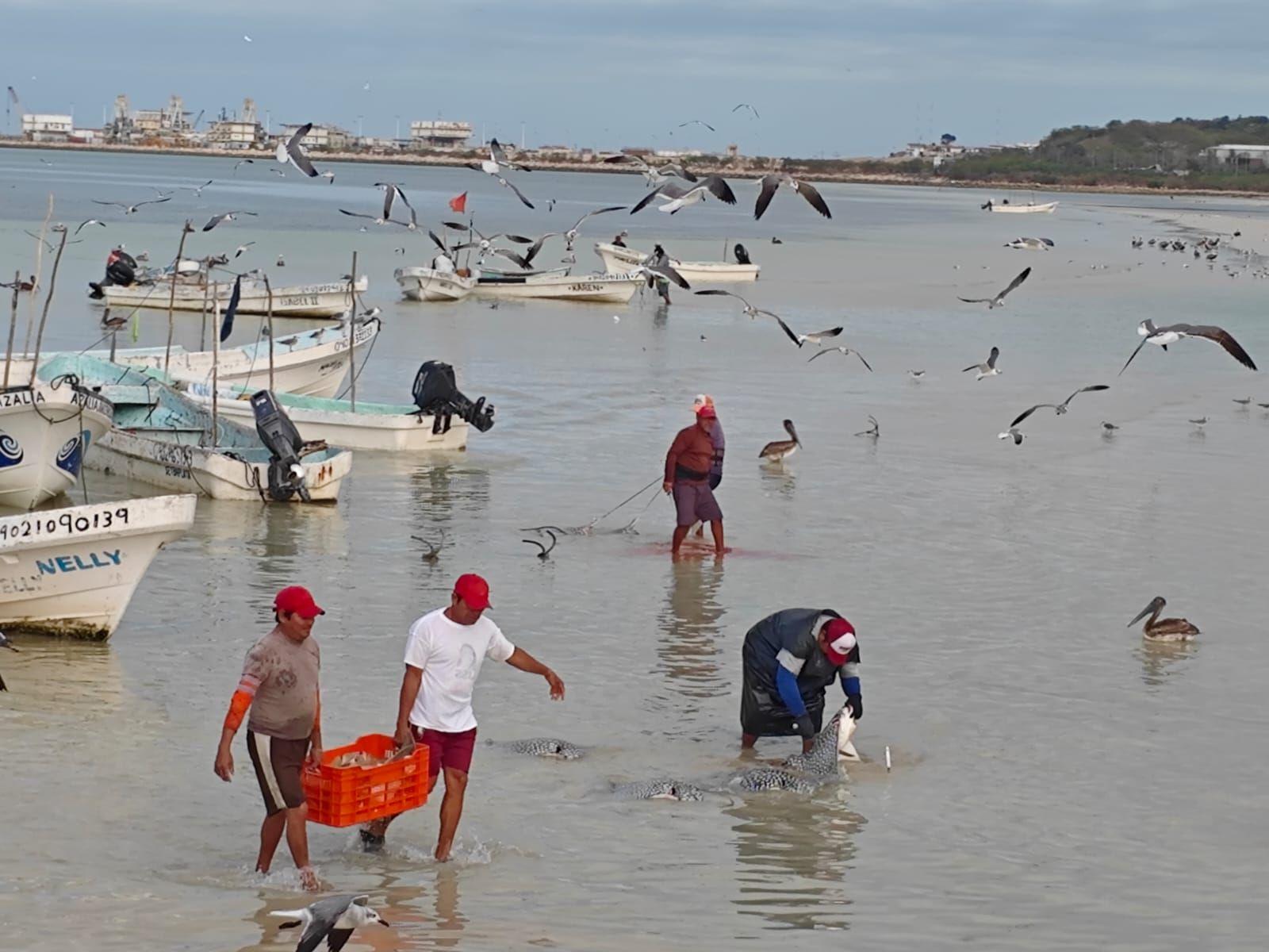 WhatsApp Image 2025-07-23 at 4.12.34 PM.jpeg