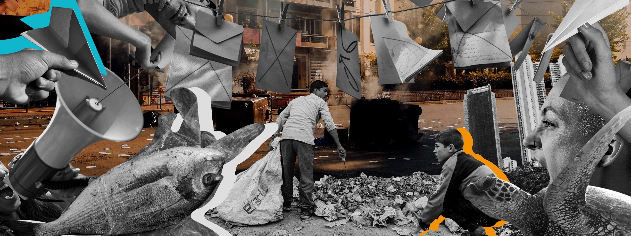 Guide to republishing Causa Natura content