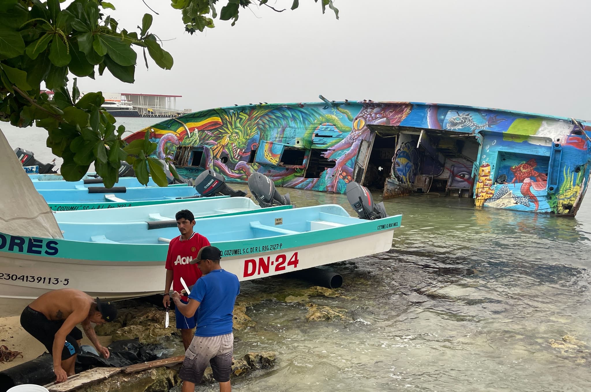 megaproyectos-energia-expansion-turistica-acorralan-cozumel-2.jpg