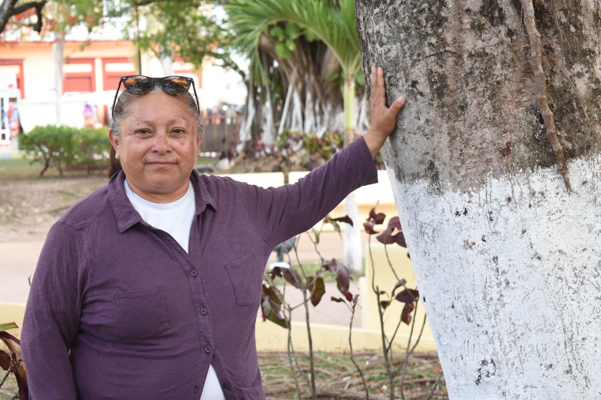 megaproyectos-energia-expansion-turistica-acorralan-cozumel-5.jpg
