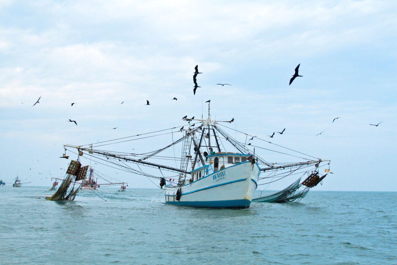 CN Media  ¿Qué es la pesca de arrastre y por qué es importante
