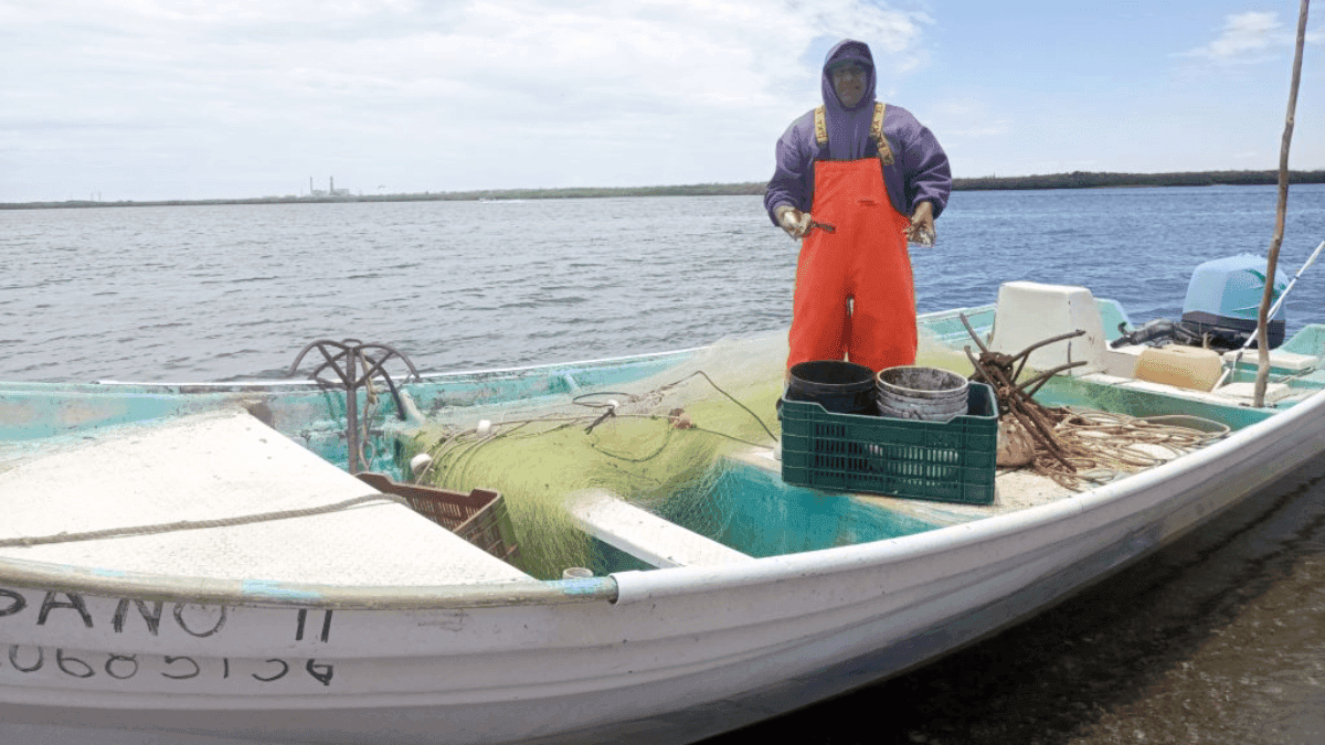 seguro de vida pescadores BCS.png